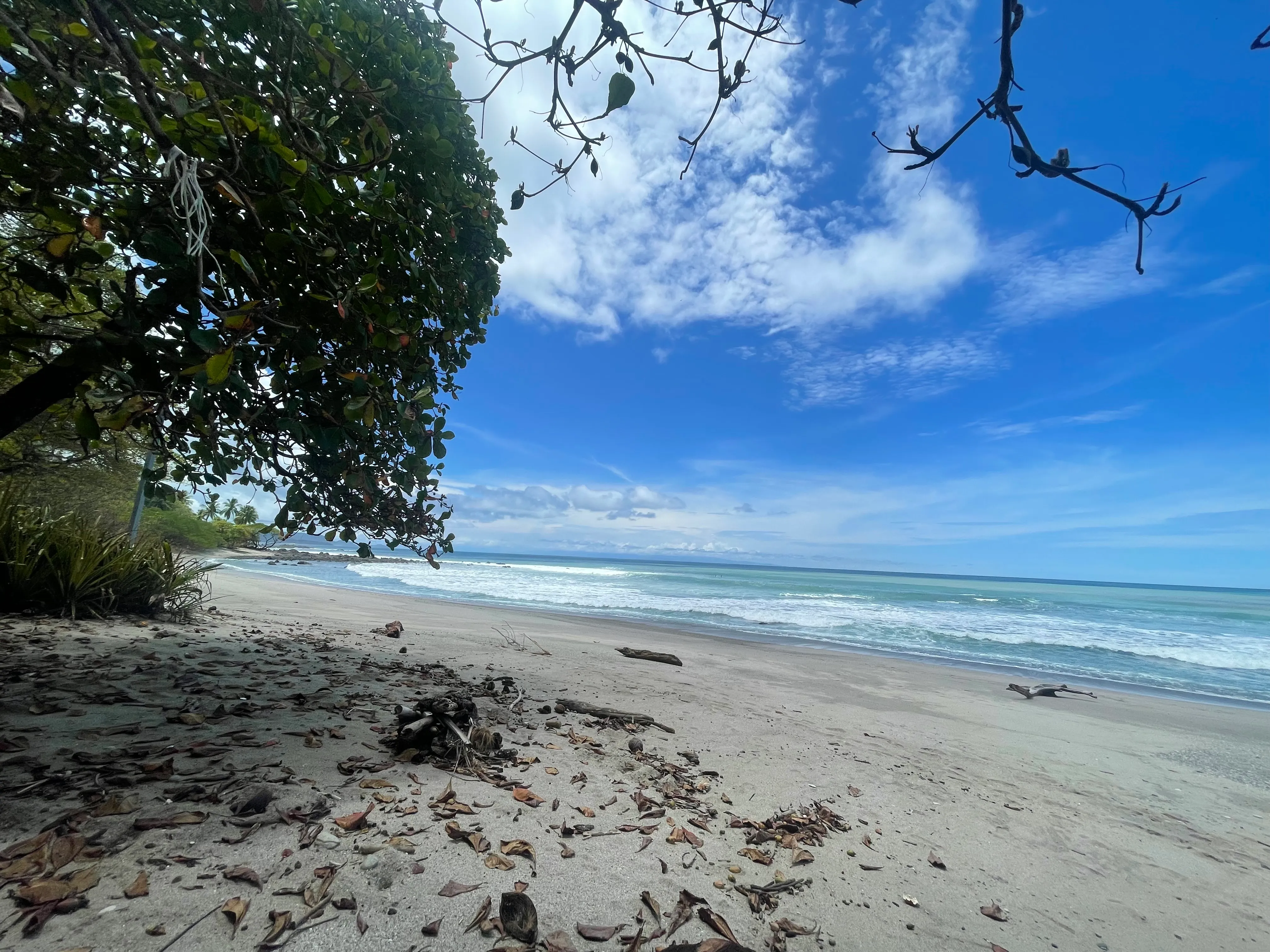 Playa Cedros