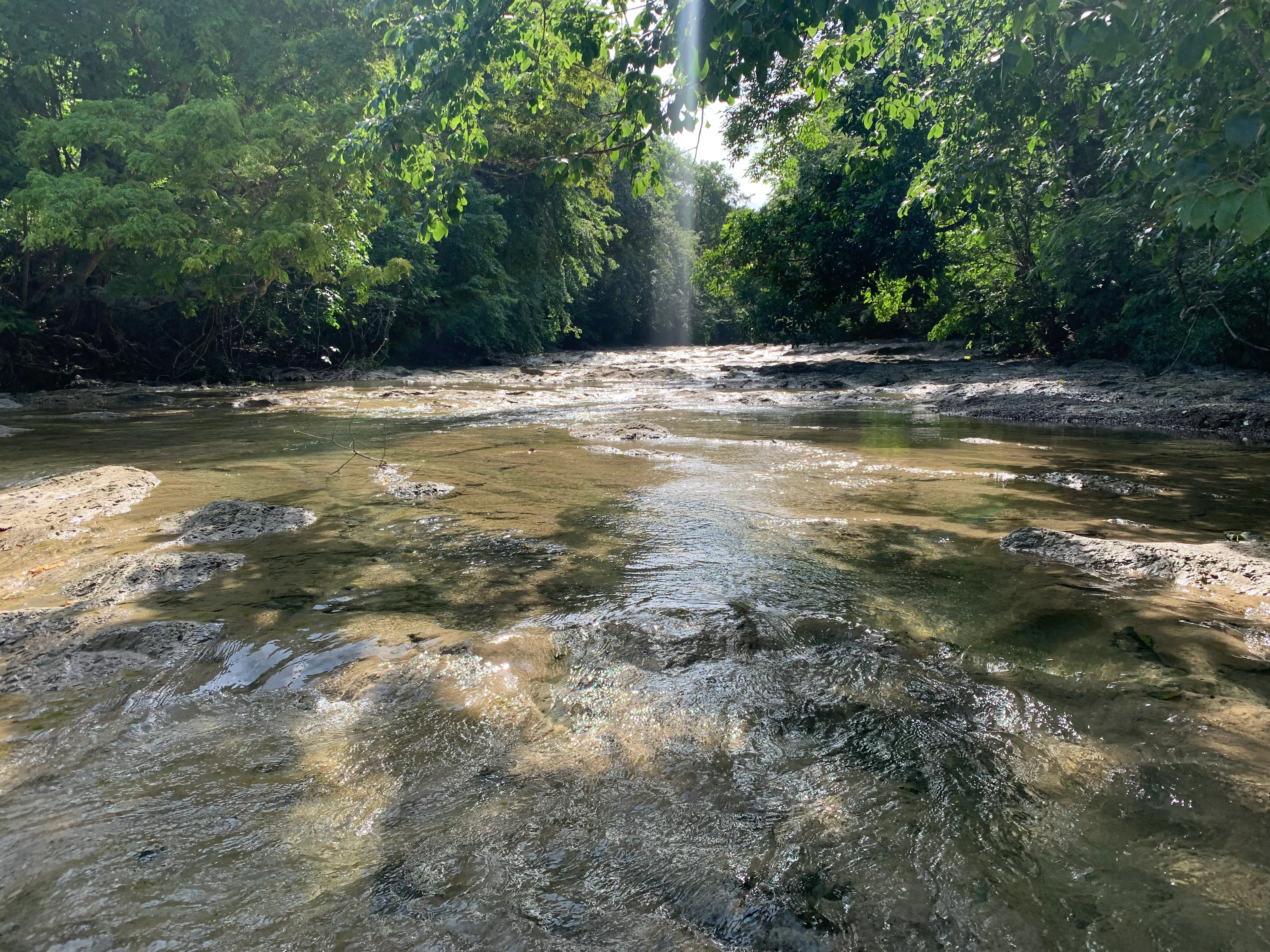 Río Lajas — foto 1