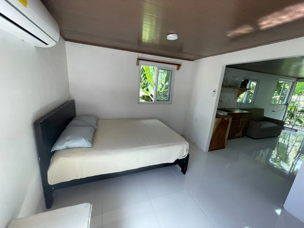 Villa Jungle — foto 6
