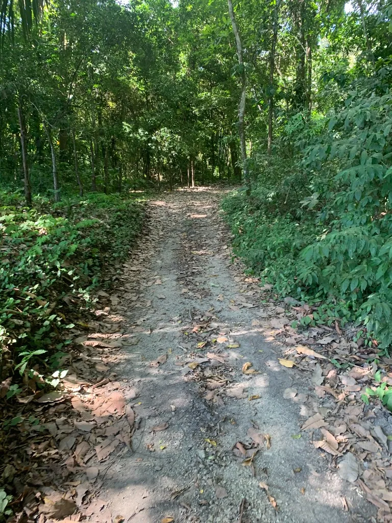 Catarata La Florida — foto 6